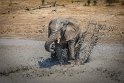 070 Zimbabwe, Hwange NP, olifant